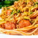 Close-up hot dog spaghetti topped with crispy onions and mustard breadcrumbs Featuring a title overlay.