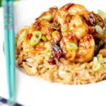 Kung po or pao king prawns with peanuts and egg fried rice featuring a title overlay.