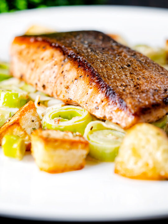 Pan fried salmon fillet discount