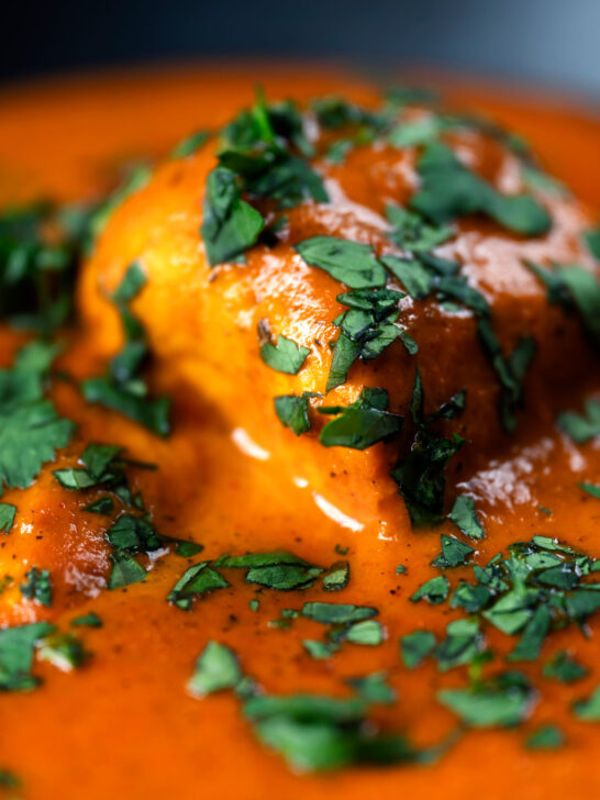 Close-up chicken chasni curry with fresh coriander.