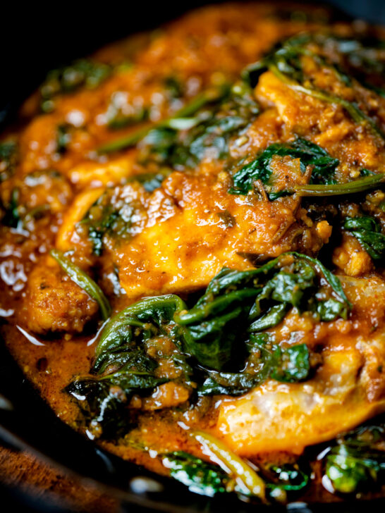 Close-up Indian inspired chicken saag or saagwala curry.