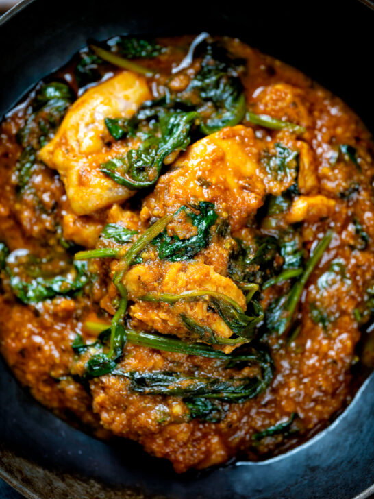 Close-up overhead Indian inspired chicken saag or saagwala curry.