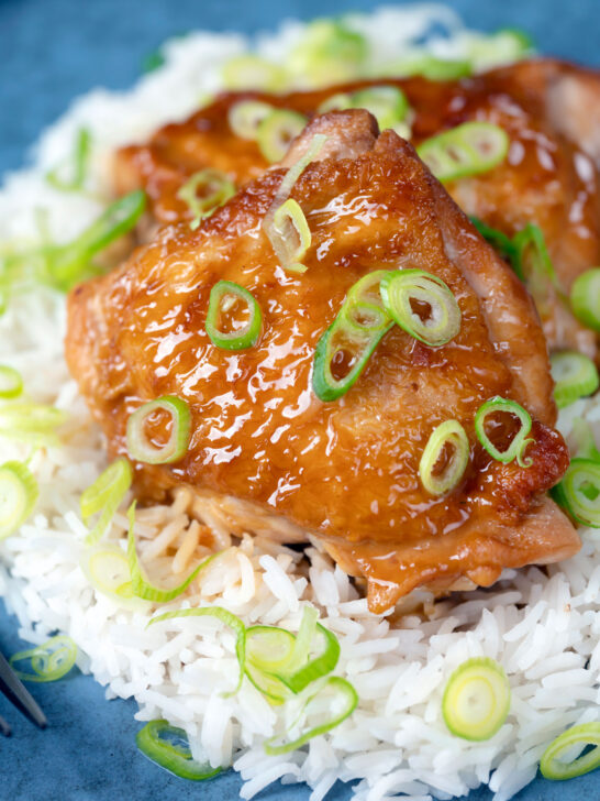 Close-up Filipino coconut milk chicken adobo served with white rice.