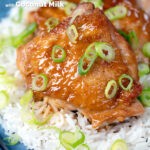 Close-up Filipino coconut milk chicken adobo served with white rice featuring a title overlay.