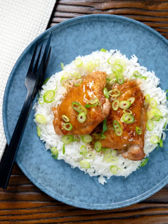 Overhead Filipino coconut milk chicken thigh adobo served with white rice.