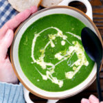 Overhead close up silky smooth spinach and fennel soup with fresh fennel fronds.