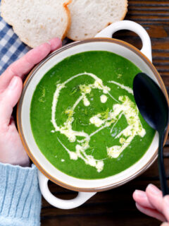 Overhead close up silky smooth spinach and fennel soup with fresh fennel fronds.