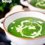 Spinach and fennel soup with fresh fennel fronds and bread featuring a title overlay.