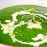 Close up verdant green spinach and fennel soup with fresh fennel fronds featuring a title overlay.