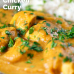 Overhead, close-up fruity pineapple and chicken curry with rice, coriander and naan.