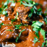 Close up lamb madras curry fakeaway featuring a title overlay.