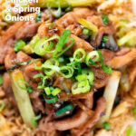 Overhead close-up ginger chicken with garlic and spring onions served with egg fried rice, featuring a title overlay.