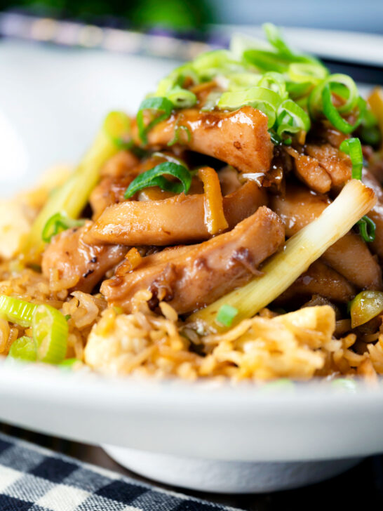 Close-up ginger chicken with garlic and spring onions served with egg fried rice.