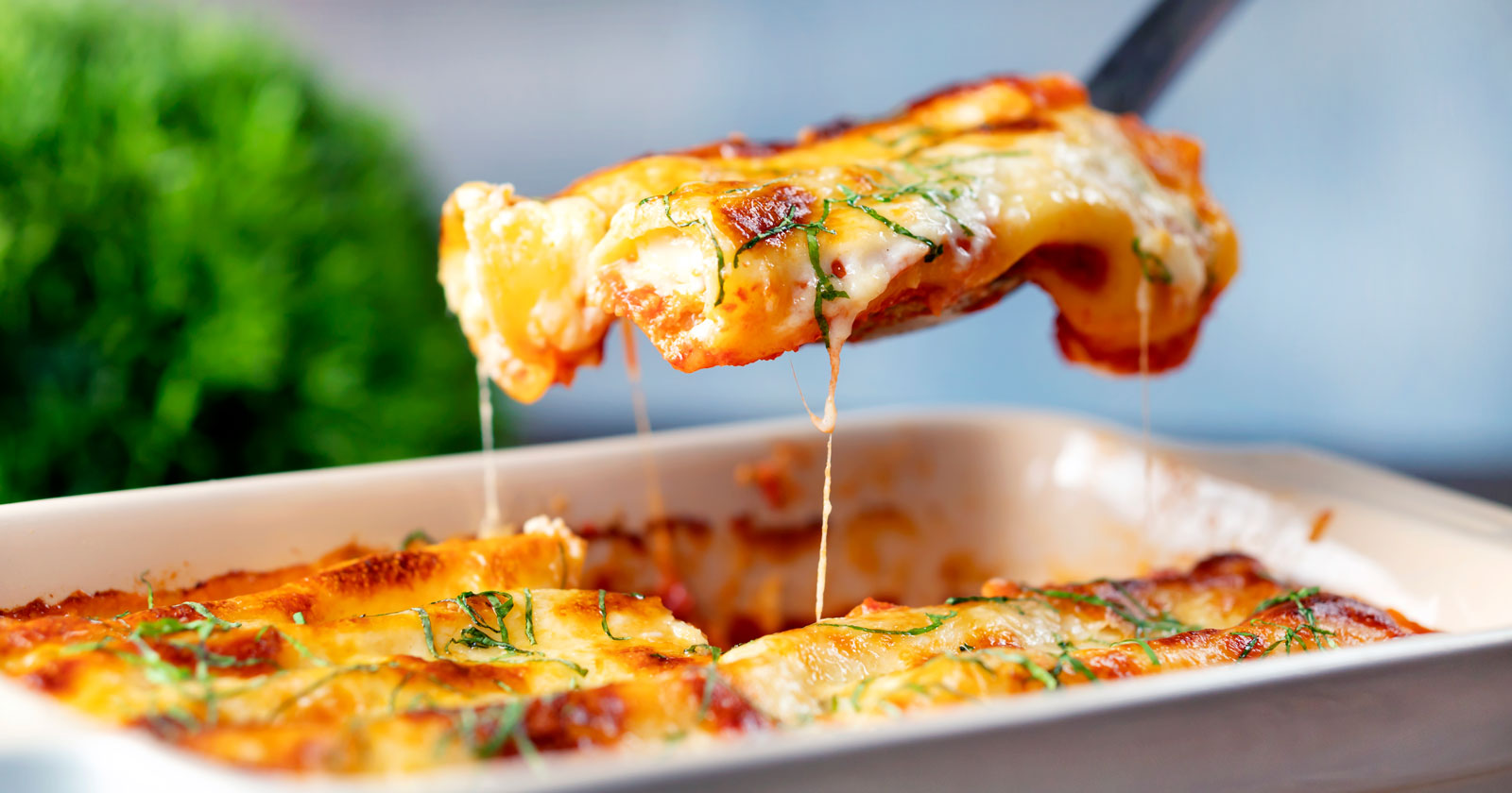 Vegetarian Cauliflower and Ricotta Cheese Cannelloni Krumpli