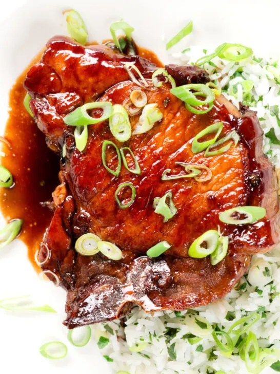 Cloe-up overhead Filipino-inspired adobo pork chops served with rice and spring onions.