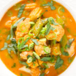 Close-up overhead Thai vegetable curry soup with coconut milk.