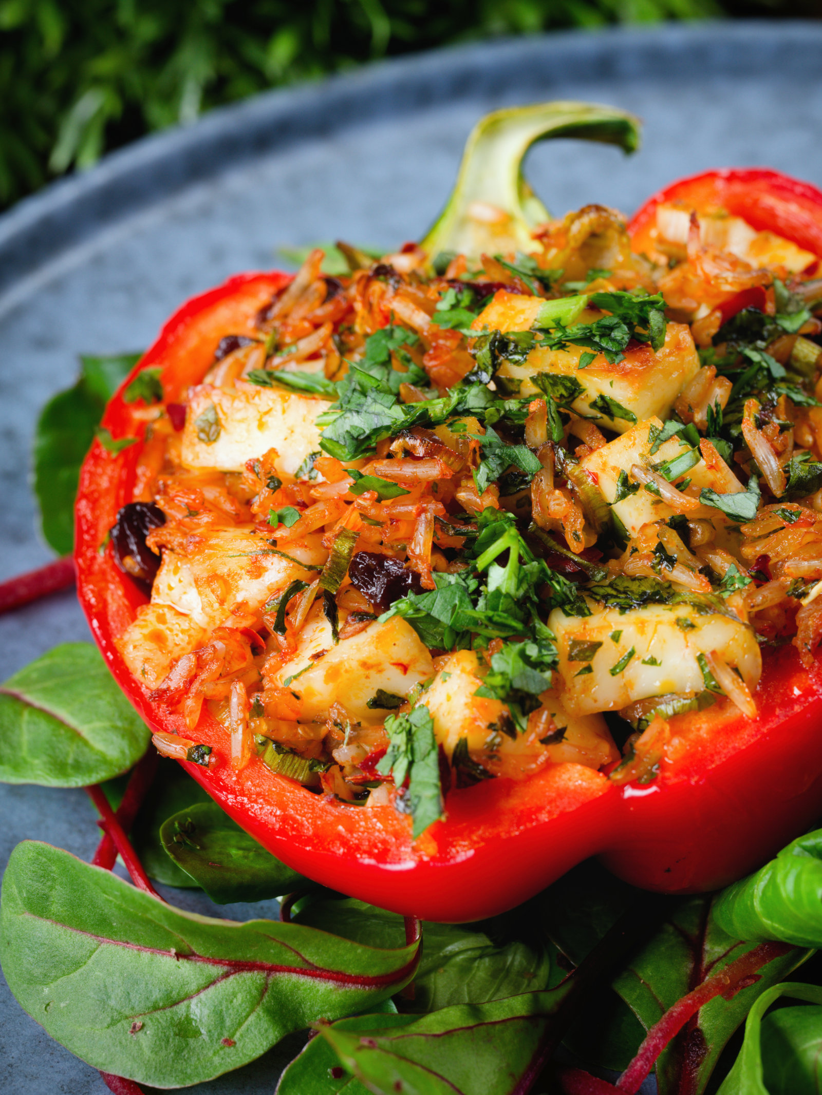 Close-up baked stuffed peppers with halloumi cheese, brown rice, harissa pasta and raisins.