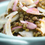 Close-up pickled fennel salad with shallots and puy lentils.