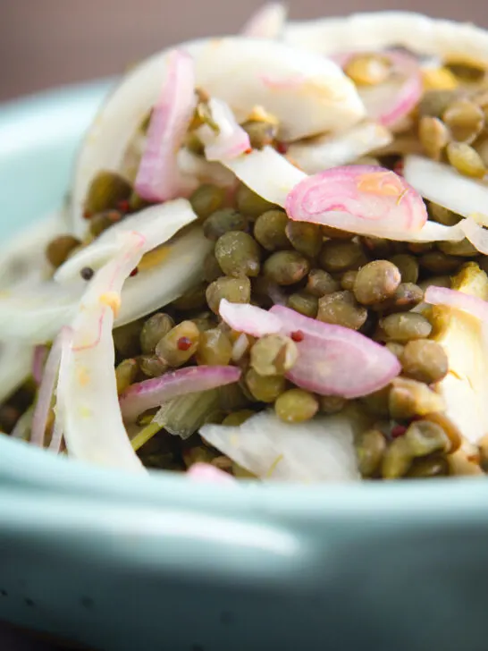Close-up pickled fennel salad with shallots and puy lentils.