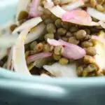 Close-up pickled fennel salad with shallots and puy lentils.