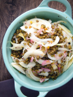 Overhead pickled fennel salad with shallots and puy lentils.