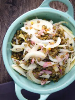 Overhead pickled fennel salad with shallots and puy lentils.