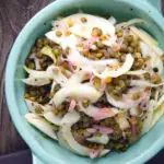 Overhead pickled fennel salad with shallots and puy lentils.