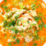 Overhead close-up spicy chicken and prawn soup with Thai influences.