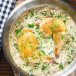 Overhead chicken Normandy in a cider and mustard sauce in a pan.