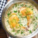 Overhead chicken Normandy in a cider and mustard sauce in a pan.