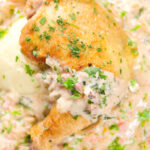 Overhead close-up chicken Normandy in a cider and mustard sauce served with creamy mashed potatoes.