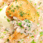 Overhead close-up chicken Normandy in a cider and mustard sauce served with creamy mashed potatoes.