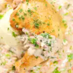 Overhead close-up chicken Normandy in a cider and mustard sauce served with creamy mashed potatoes.