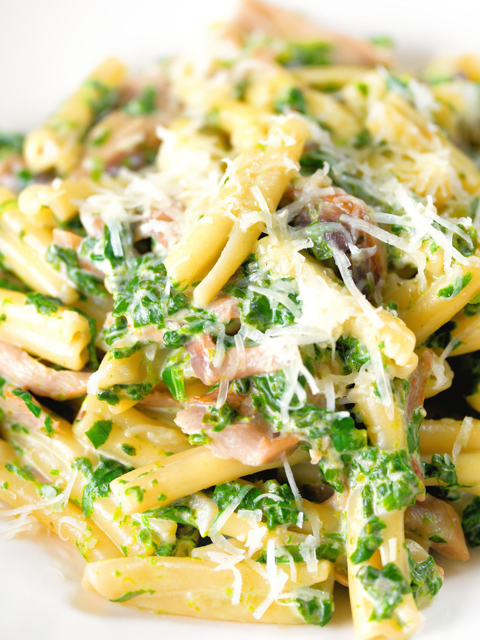 Close-up spinach and mushroom casarecce pasta with parmesan cheese.