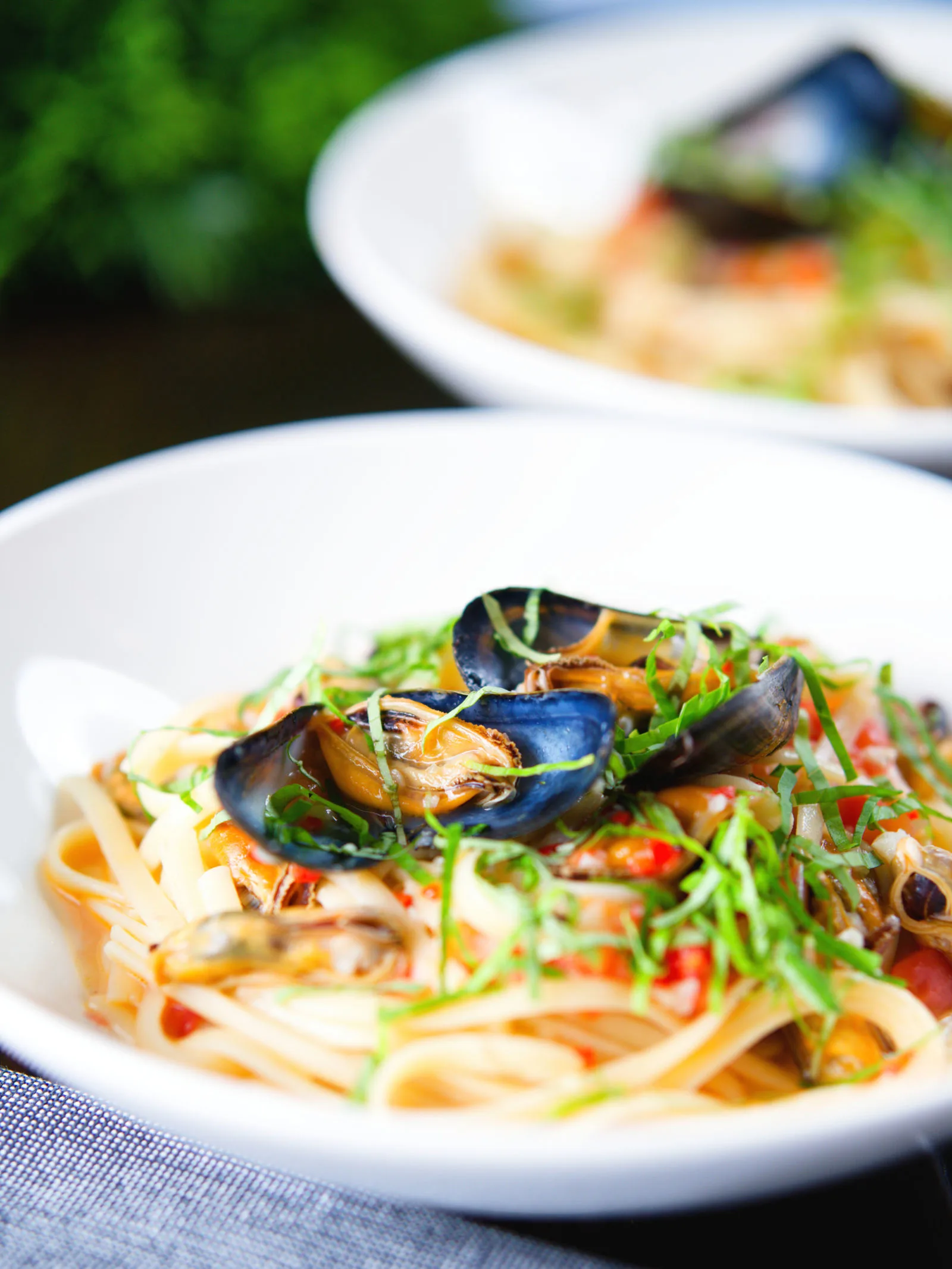 Mussels with pasta (linguine) in butter and white wine with garlic, chilli and tomatoes.