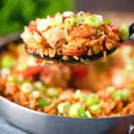 One-pot Cajun-influenced chicken and chorizo jambalaya on a spoon.