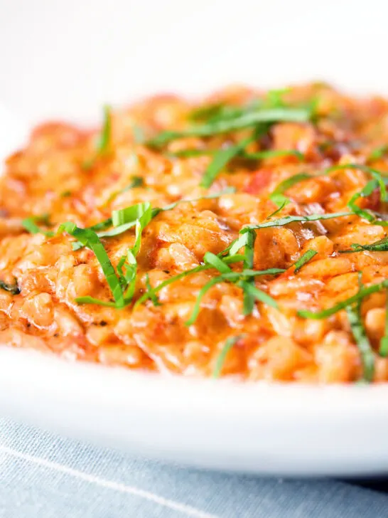Close-up tomato and mascarpone cheese risotto with basil chiffonade served in a white bowl.