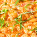 Close-up tomato and mascarpone cheese risotto with basil chiffonade.