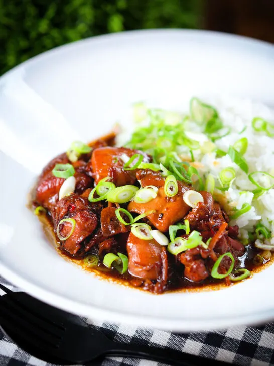 Vietnamese coconut caramel chicken served with jasmine rice and spring onions.