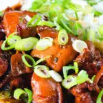 Close-up Vietnamese coconut caramel chicken served with jasmine rice and spring onions.