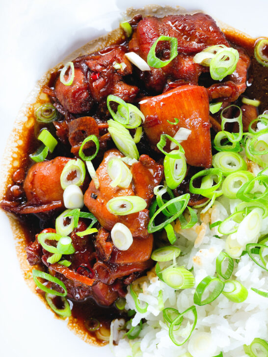 Overhead close-up Vietnamese coconut caramel chicken served with jasmine rice and spring onions.