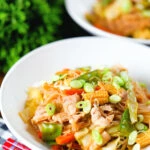 Filipino chicken and vegetable pancit bihon (rice noodles) aka guisado.