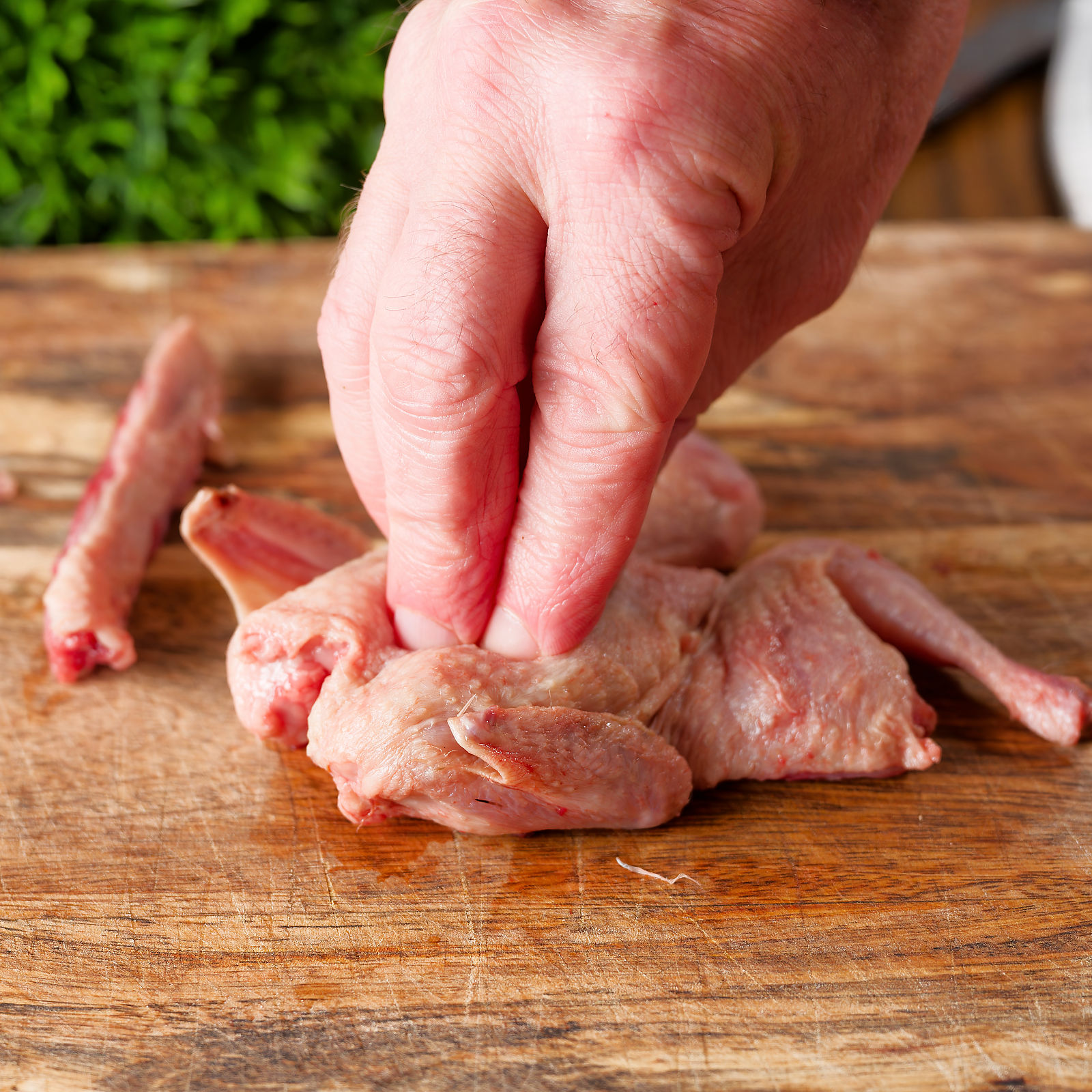Part 5 of 6 demonstrating how to spatchcock or butterfly a quail.