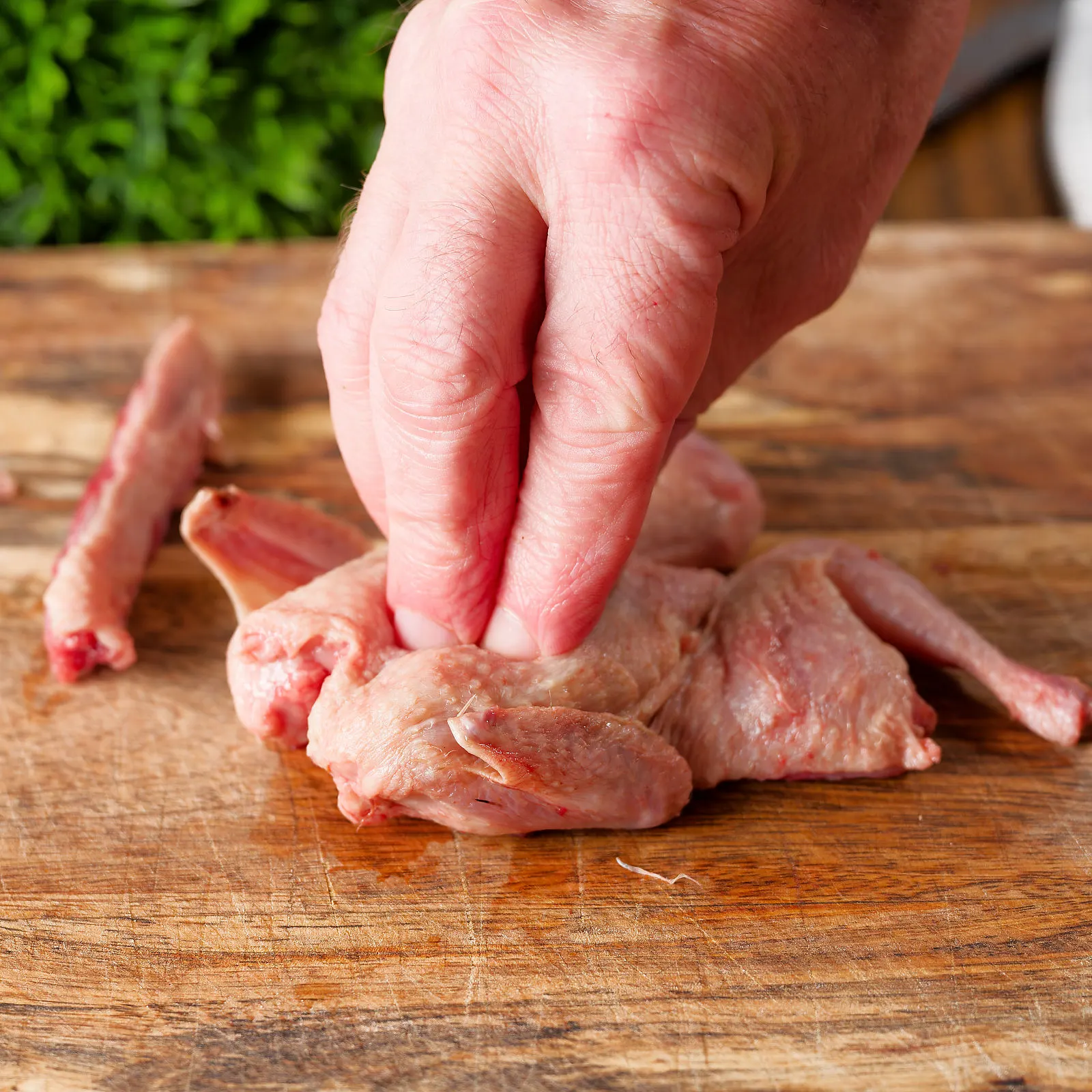 Part 5 of 6 demonstrating how to spatchcock or butterfly a quail.