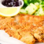 Close-up breaded veal Wiener schnitzel served with parsley buttered potatoes and redcurrant jelly.