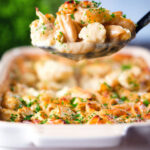 Cauliflower cheese pasta bake with cheddar and stilton cheeses on a serving spoon.