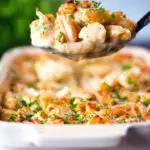 Cauliflower cheese pasta bake with cheddar and stilton cheeses on a serving spoon.