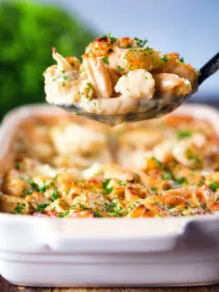 Cauliflower cheese pasta bake with cheddar and stilton cheeses on a serving spoon.