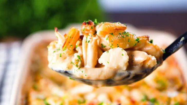Cauliflower cheese pasta bake with cheddar and stilton on a serving spoon.