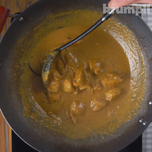 Satay Chicken Curry process shots 13 of 16